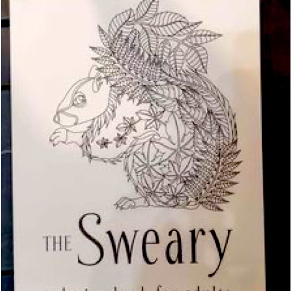 The Sweary Graphic Language Coloring Book for Adults - Picture 1 of 1